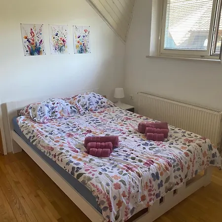 Apartma Kara S Teraso Apartment