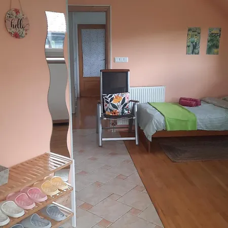 Apartma Kara S Teraso Apartment Ljubljana